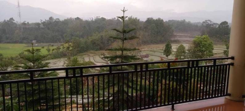 苏门答腊阿欧戴尔斯邓波帕加阿拉姆别墅酒店(Aldeoz Dempo Pagar Alam Villa Sumsel)图片