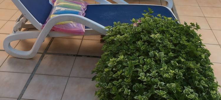 跨海公寓别墅(Beachcross Villa Apartments)图片