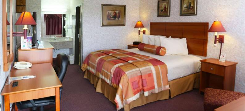 豪厄尔马格努森酒店(Magnuson Hotel Howell/Brighton)图片