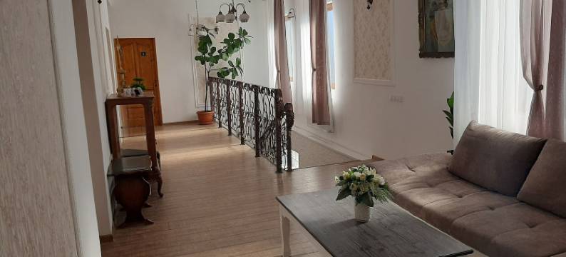 福图纳奥里别墅酒店(Vila Fortuna Auri)图片