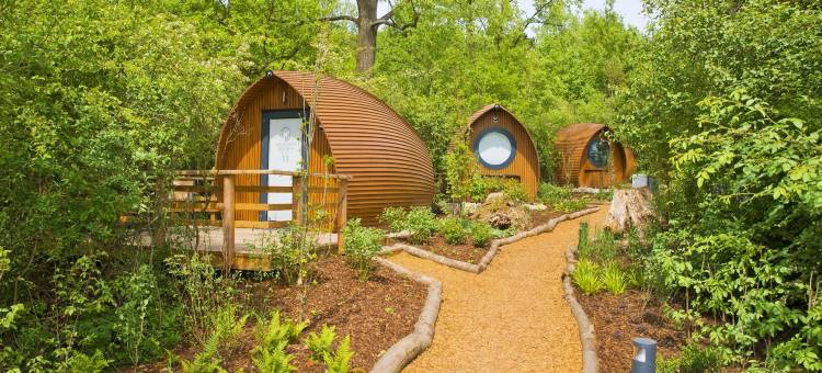 布里斯高生态华丽露营度假村(Glamping Resort Biosphäre Bliesgau)图片