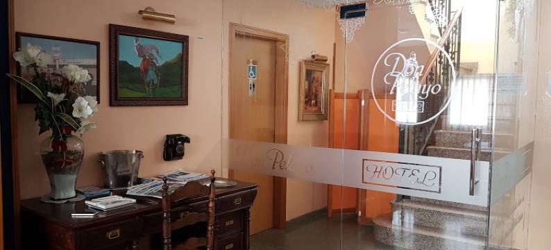 唐佩拉约酒店(Hotel Don Pelayo)图片