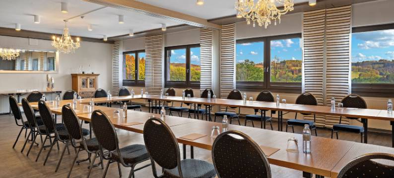 迪尔贝格会议和健康酒店(Hotel Diehlberg)图片