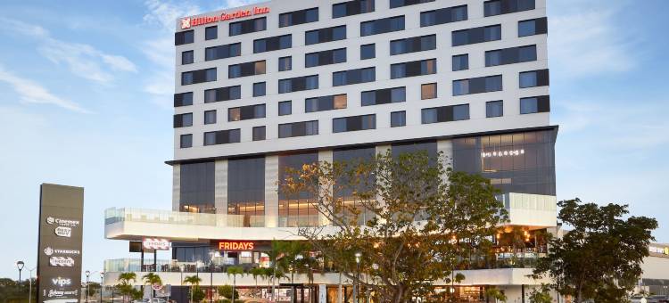 梅尼达希尔顿花园酒店(Hilton Garden Inn Merida)图片