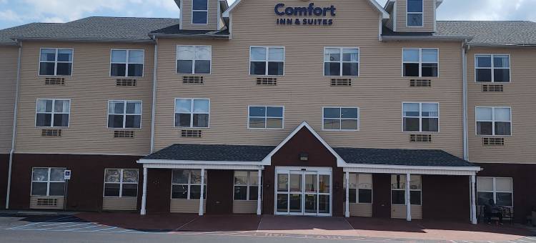 舒适套房酒店(Comfort Inn & Suites)图片