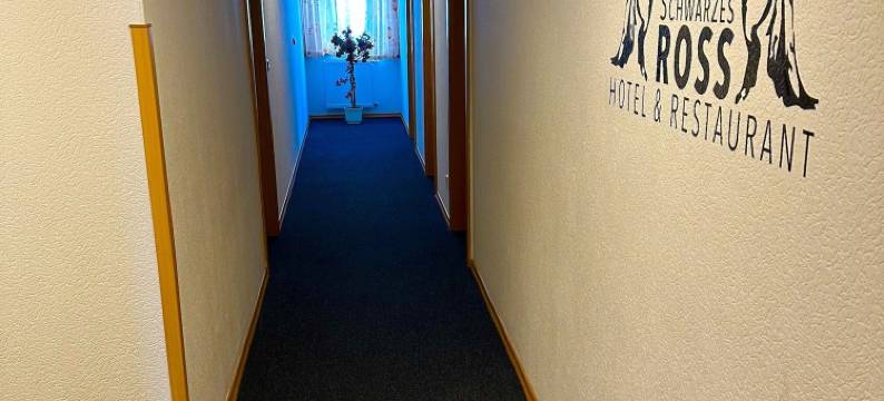 施瓦尔兹罗斯餐厅酒店(Schwarzes Ross Hotel & Restaurant Oberwiesenthal)图片