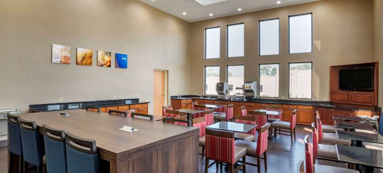 舒适全套房酒店(Comfort Suites)图片