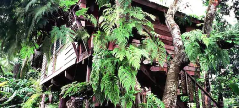 菲姆天堂酒店(Fern Paradise)图片