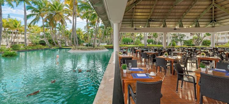 加泰罗尼亚蓬塔卡纳酒店-全包(Catalonia Punta Cana - All Inclusive)图片