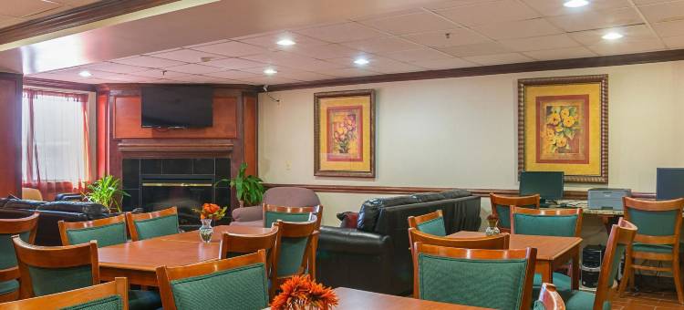 品质酒店及套房底特律大都会机场(Quality Inn & Suites Detroit Metro Airport)图片