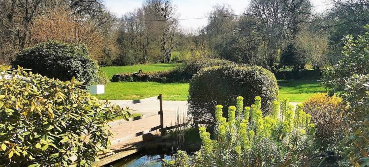 多梅纳米尼奥比汉(Domaine Minio Bihan)图片