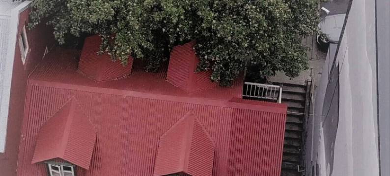 格雷蒂尔宾馆(Grettir Guesthouse)图片