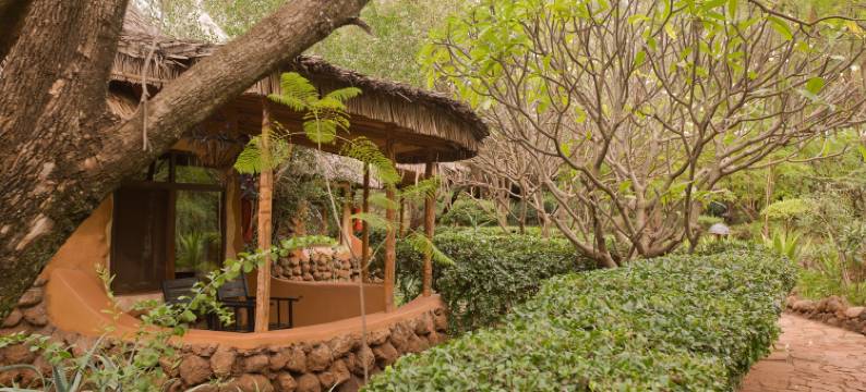 Amboseli Sopa寄宿舍(AMBOSELI SOPA LODGE)图片