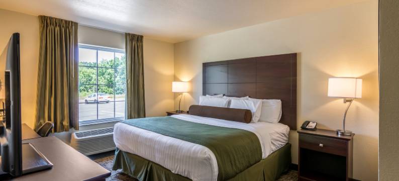 鹅卵石套房酒店 - 巴隆(Cobblestone Inn & Suites - Barron)图片