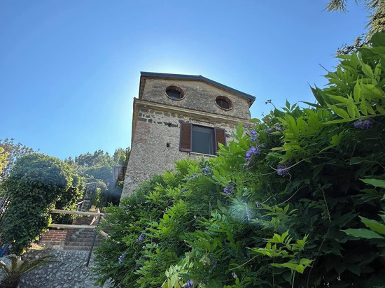 阿马尔菲海岸的石榴树