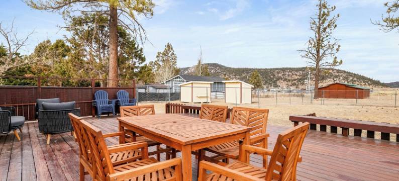 Bunny's牧场(Bunny's Ranch)图片