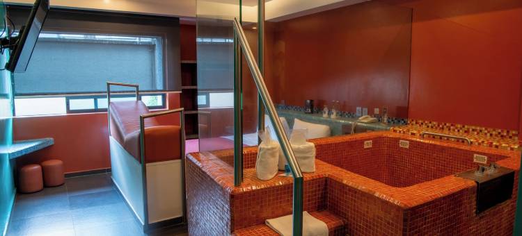 塔库巴雅酒店酒店(Hotel Tacubaya & Autosuites)图片