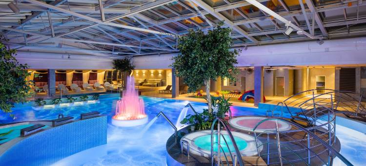V温泉会议酒店(V Spa & Conference Hotel)图片
