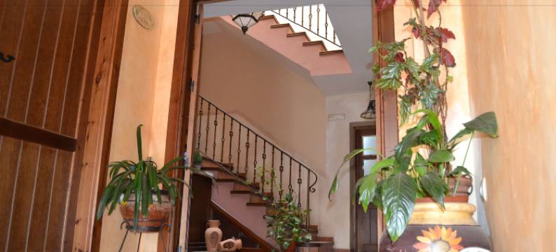 托里比欧青年旅舍(Hostal Toribio)图片