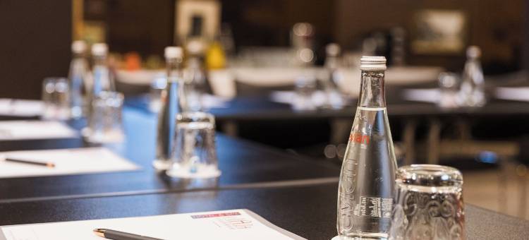 玛德琳那温泉酒店(Plaza Madeleine & Spa)图片