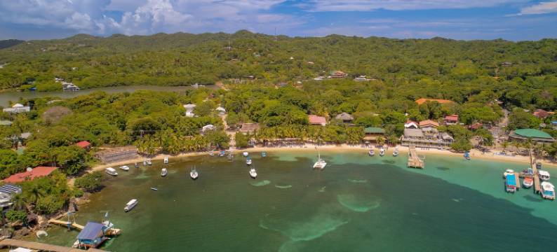 阿科艾丽斯旅馆(Posada Arco Iris, West End)图片