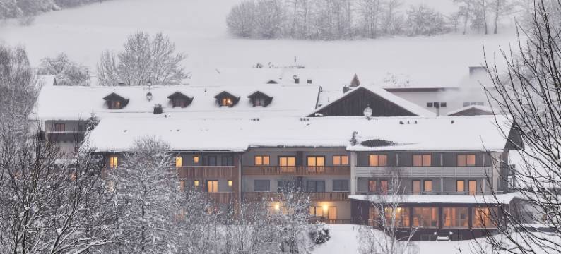德鲍姆酒店(Hotel der Bäume)图片