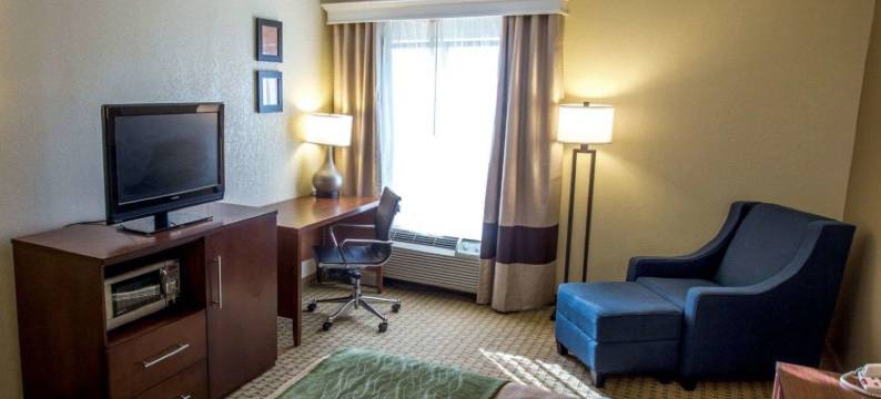 哈蒙德舒适酒店(Comfort Inn Hammond)图片