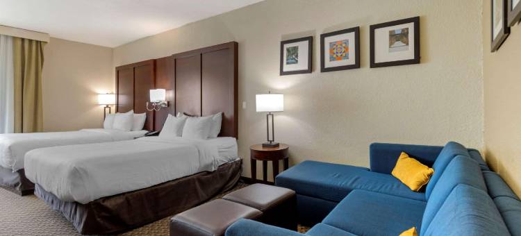 靠近六旗及医疗中心舒适酒店及套房(Comfort Inn & Suites Near Six Flags & Medical Center)图片