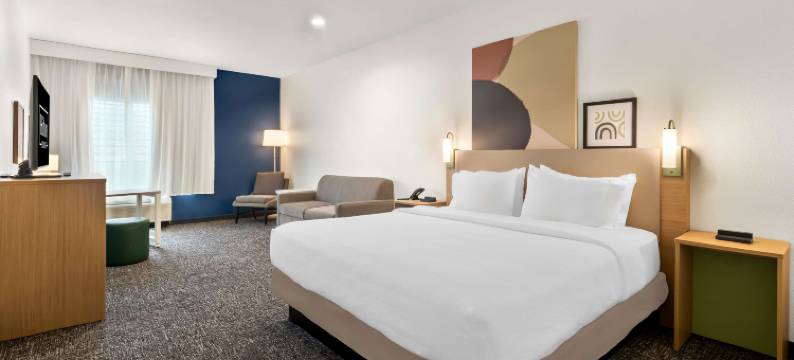 密苏里城希尔顿Spark酒店(Spark by Hilton Missouri City)图片