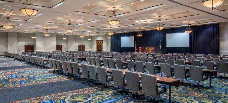 罗阿诺克酒店和会议中心-希尔顿格芮精选酒店(The Hotel Roanoke & Conference Center, Curio Collection by Hilton)图片