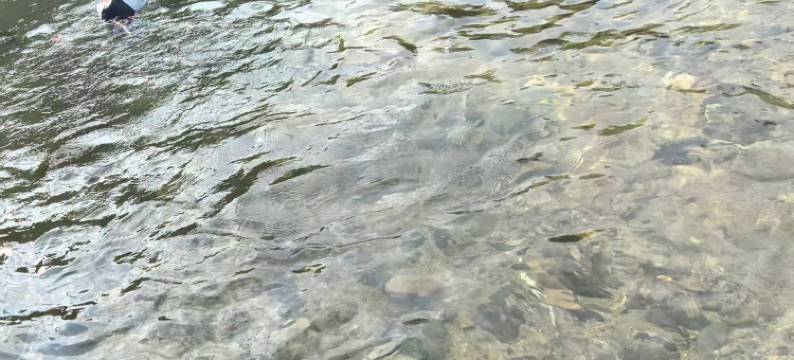 溪涧养生居特色民宿图片