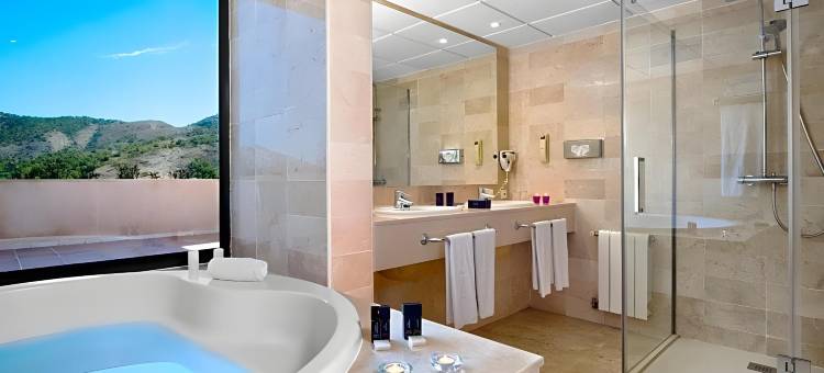 贝尼东美利亚酒店(Melia Benidorm)图片