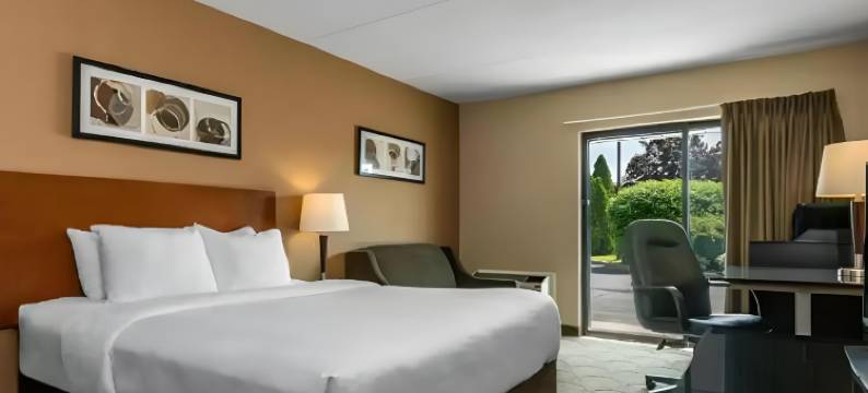 舒适酒店(Comfort Inn)图片