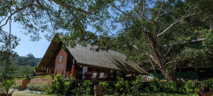 iRETREAT 丛林幸福 Pa Pae(iRETREAT Jungle Bliss, Pa Pae)图片