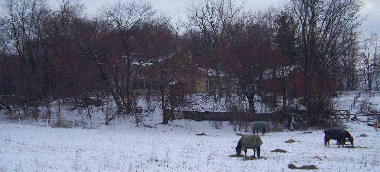 树倒农场民宿(Fallen Tree Farm Bed and Breakfast)图片