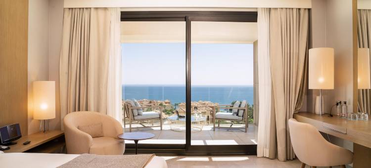 唐卡尔洛斯水疗度假村(Don Carlos Marbella)图片