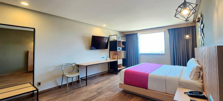 Hotel MX mas 圣米格尔-德阿连德, Trademark by Wyndham(Hotel MX más San Miguel de Allende)图片