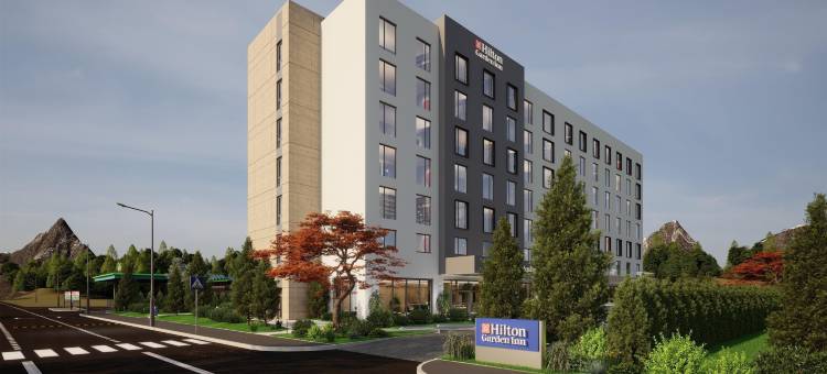 希尔顿花园酒店布拉索夫(Hilton Garden Inn Brasov)图片