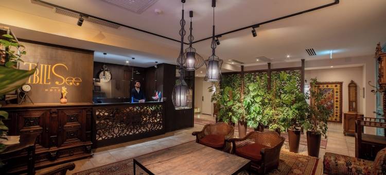 第比利斯酒店(TbiliSee Hotel)图片