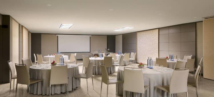 NH酒店-帕萨奥哈瓦那(NH Madrid Paseo de la Habana)图片