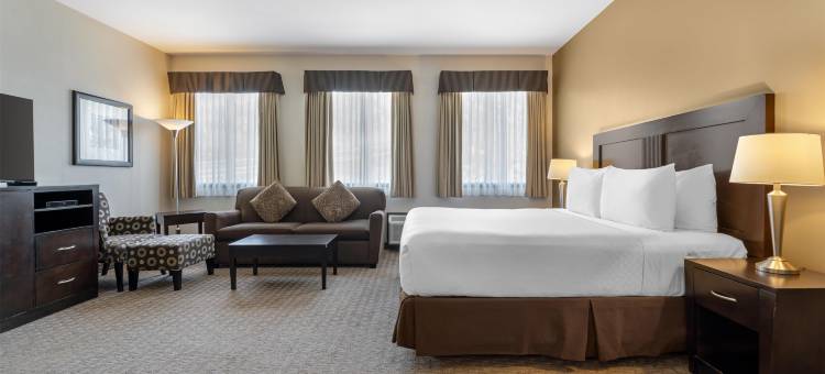 贝克街贝斯特韦斯特优质酒店及会议中心(Best Western Plus Baker Street Inn  Convention Centre)图片