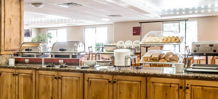 会议中心内舒适酒店(Comfort Inn at Convention Center)图片