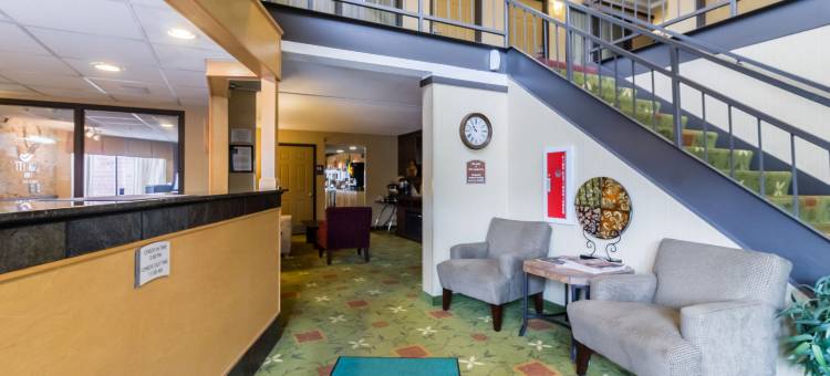 梅奥诊所区品质套房酒店(Quality Inn & Suites Mayo Clinic Area)图片