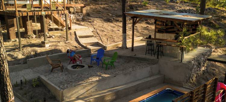 小松树豪华露营(Tiny Pines Glamping)图片