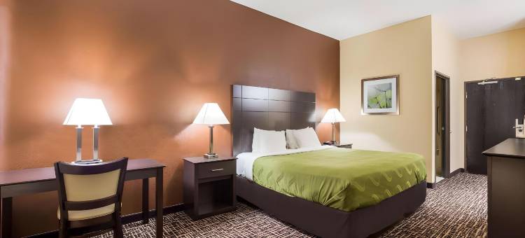 圣路易斯凯西维尔凯艺套房酒店(Quality Inn & Suites Caseyville - St. Louis)图片