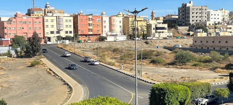 阿洛拉区(Alora Zone)图片