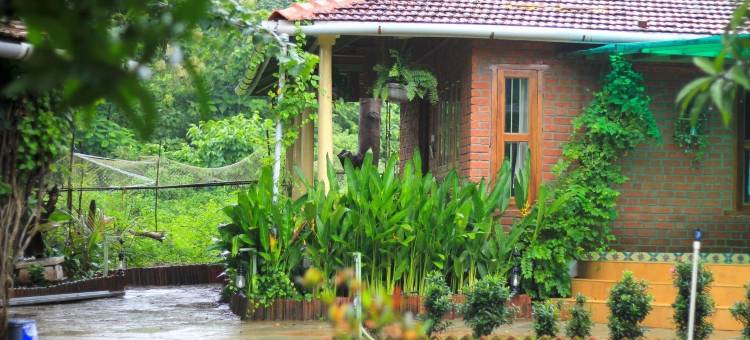 绿根农场民宿(Green Roots Farm Stay)图片