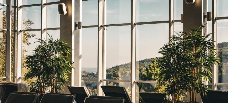 碧艾丽喀卡曼药疗Spa酒店(Hotel & Medi-Spa Biały Kamień)图片