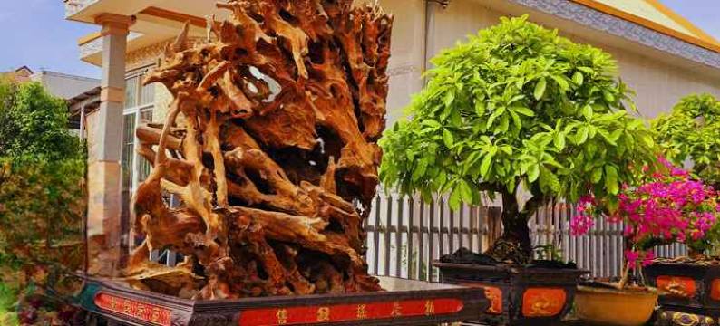 萨拉后滩(Sala Ho Tram)图片