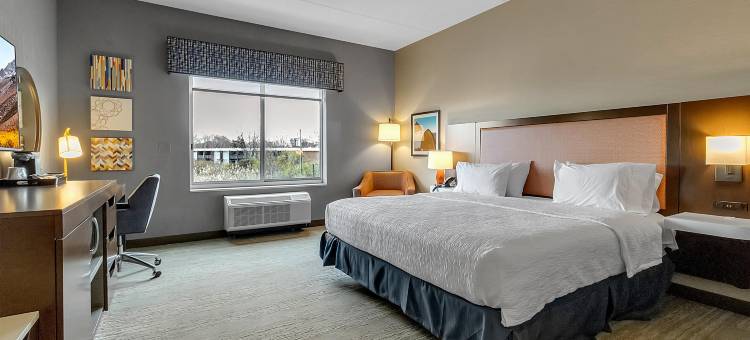 纽约州布法罗-阿姆赫斯特欢朋酒店(Hampton Inn Buffalo - Amherst)图片